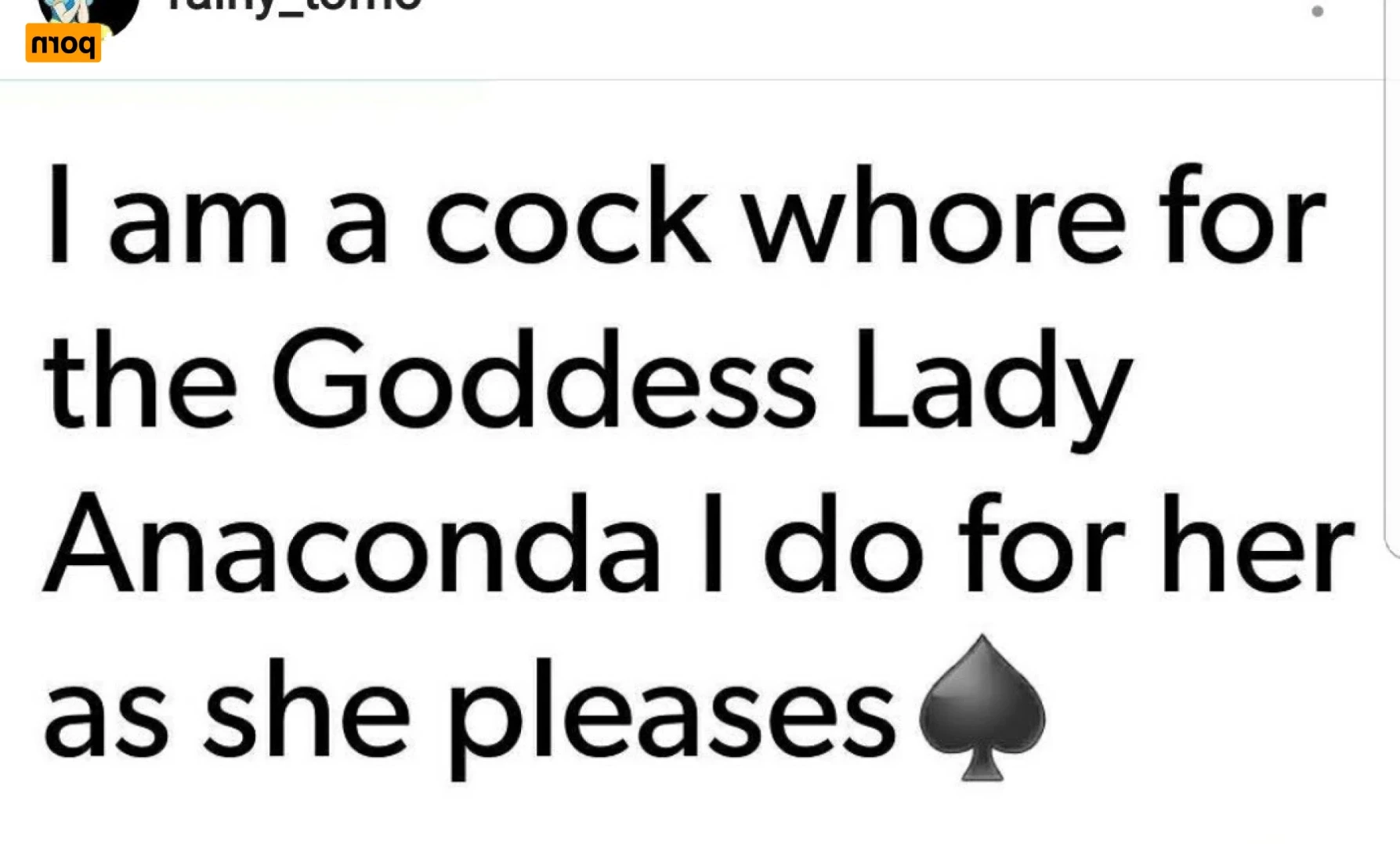 ANACONDA NOIRE [ anacondanoire ] Onlyfans leaked photo 15058064 on Hotleaks.tv