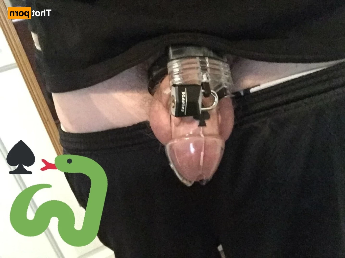 ANACONDA NOIRE [ anacondanoire ] Onlyfans leaked photo 15060898 on Hotleaks.tv
