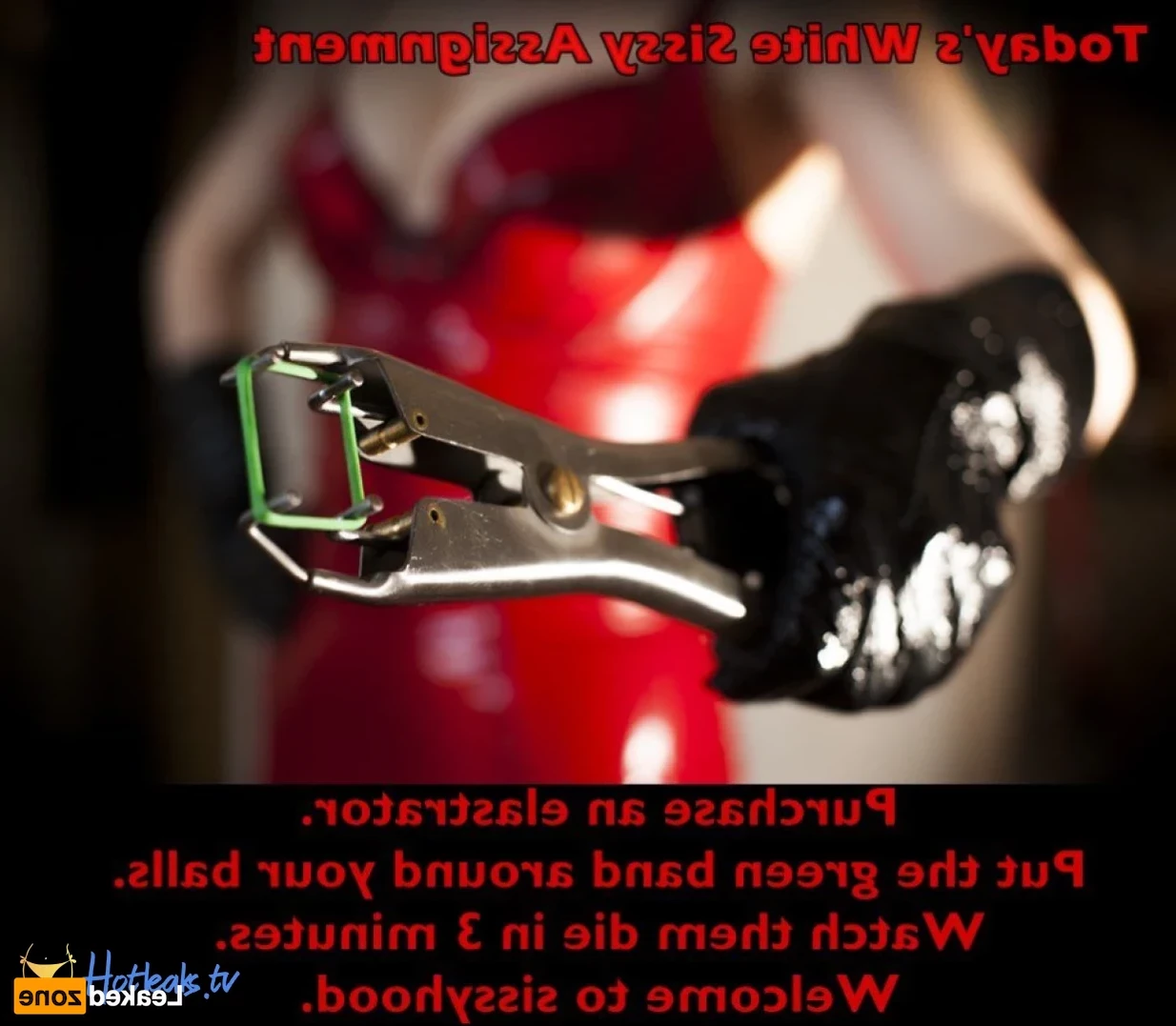 ANACONDA NOIRE [ anacondanoire ] Onlyfans leaked photo 15065645 on Hotleaks.tv