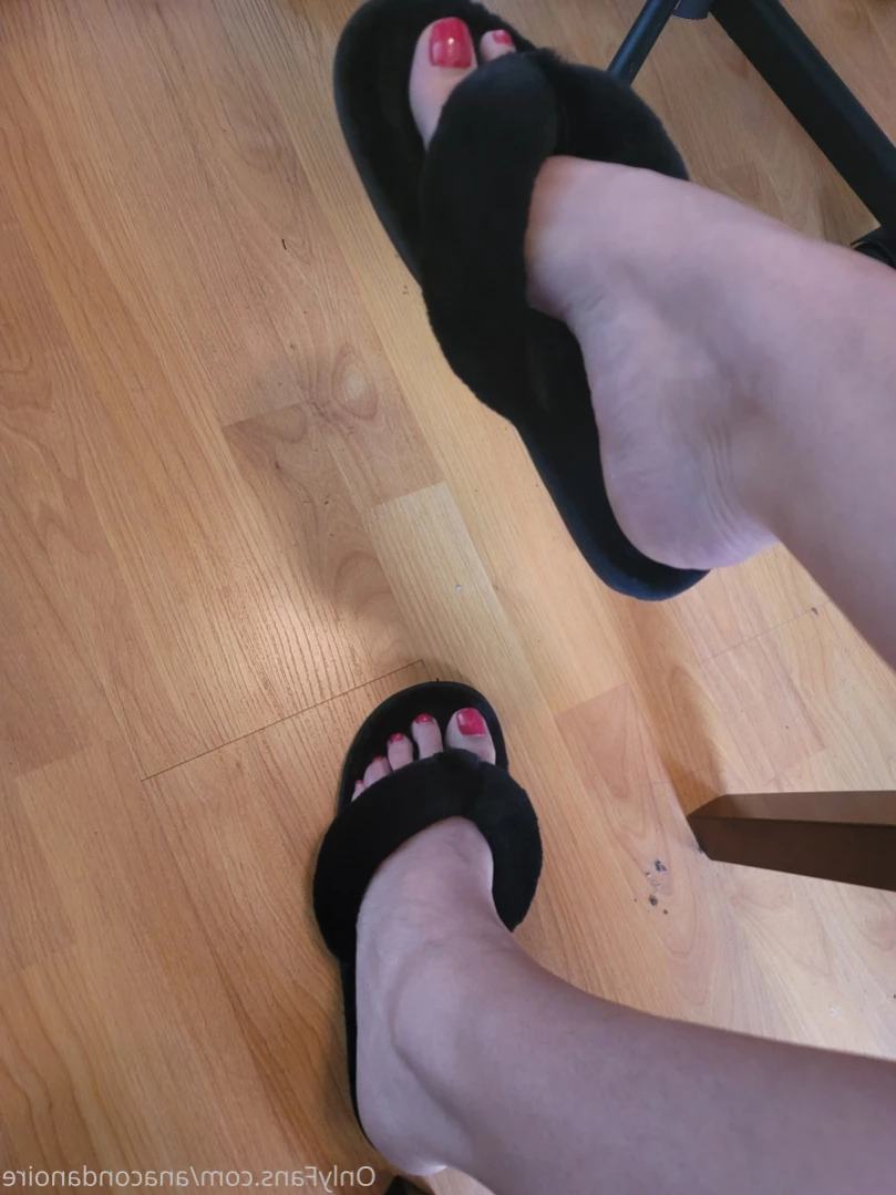 ANACONDA NOIRE [ anacondanoire ] Onlyfans leaked photo 15066919 on Hotleaks.tv
