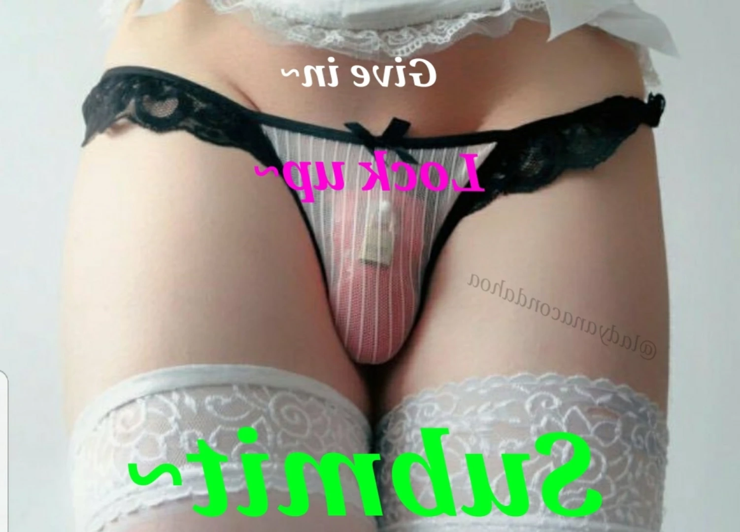 ANACONDA NOIRE [ anacondanoire ] Onlyfans leaked photo 15112464 on Hotleaks.tv