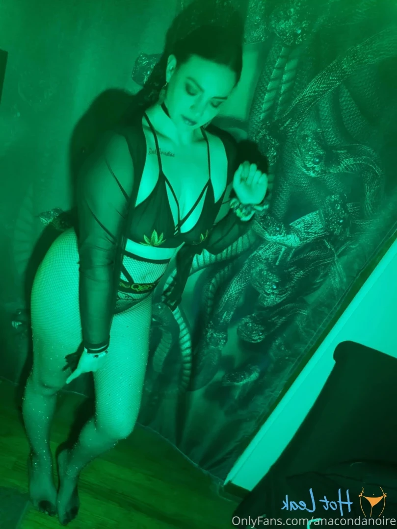 ANACONDA NOIRE [ anacondanoire ] Onlyfans leaked photo 15537013 on Hotleaks.tv