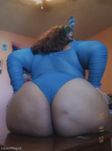 15956626