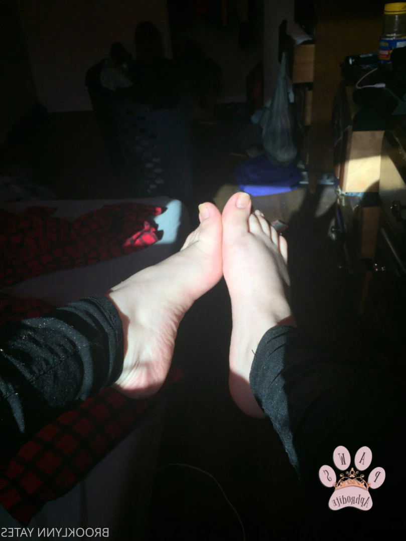 Brooklynn Yates [ aphroditepaws ] Onlyfans leaked photo 14693855 on Hotleaks.tv