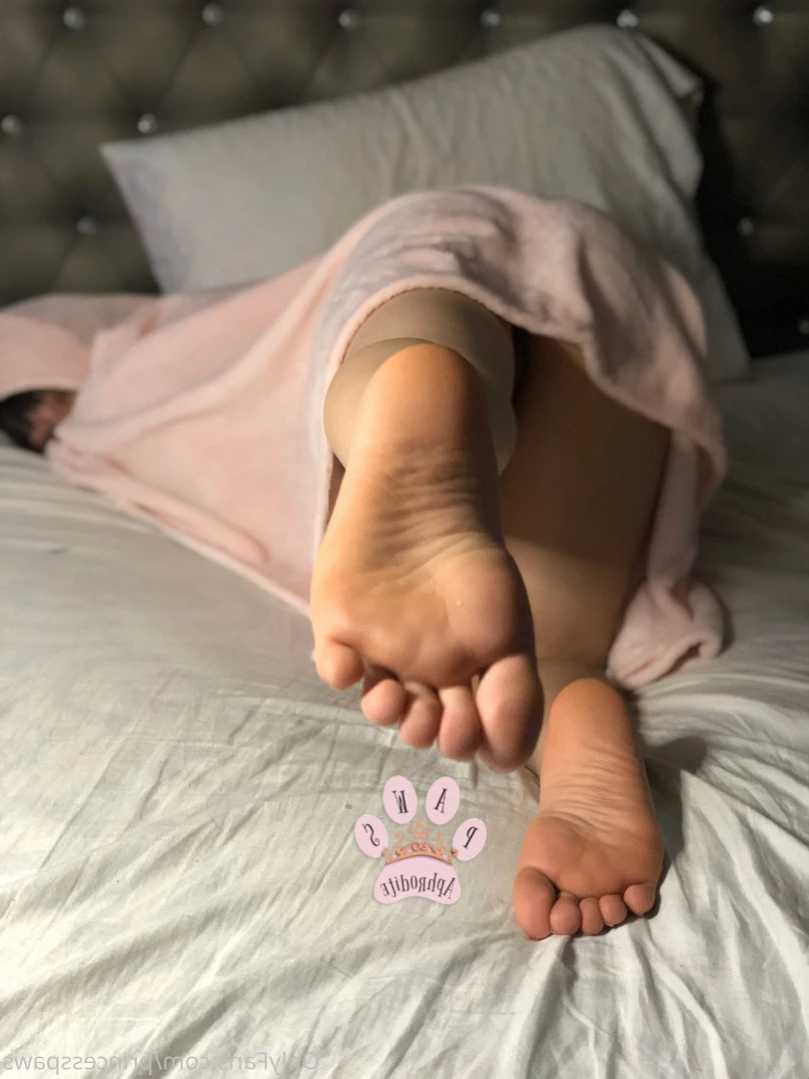 Brooklynn Yates [ aphroditepaws ] Onlyfans leaked photo 15489411 on Hotleaks.tv