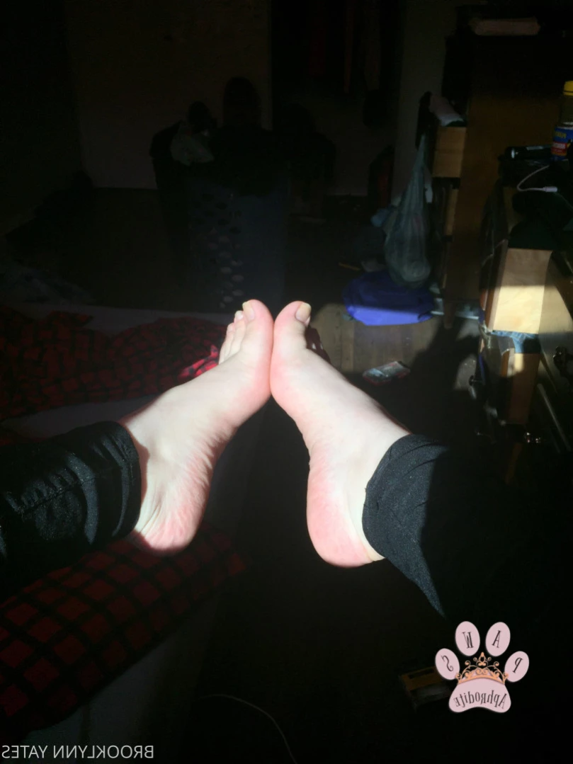Brooklynn Yates [ aphroditepaws ] Onlyfans leaked photo 15500769 on Hotleaks.tv