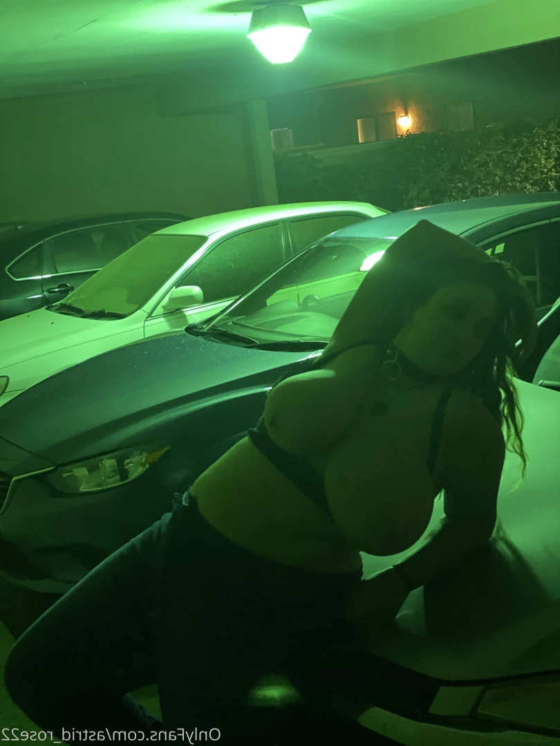 astrid_rose22 Onlyfans leaked photo 9864613 on Hotleaks.tv