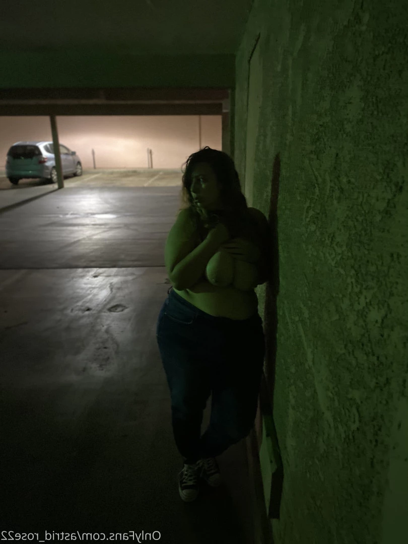 astrid_rose22 Onlyfans leaked photo 9869237 on Hotleaks.tv