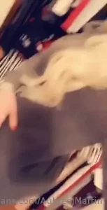 Aubree Martin [ aubreemartin ] Onlyfans leaked video 8457449 on Hotleaks.tv