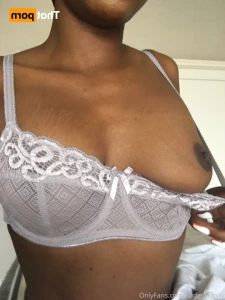 16481281