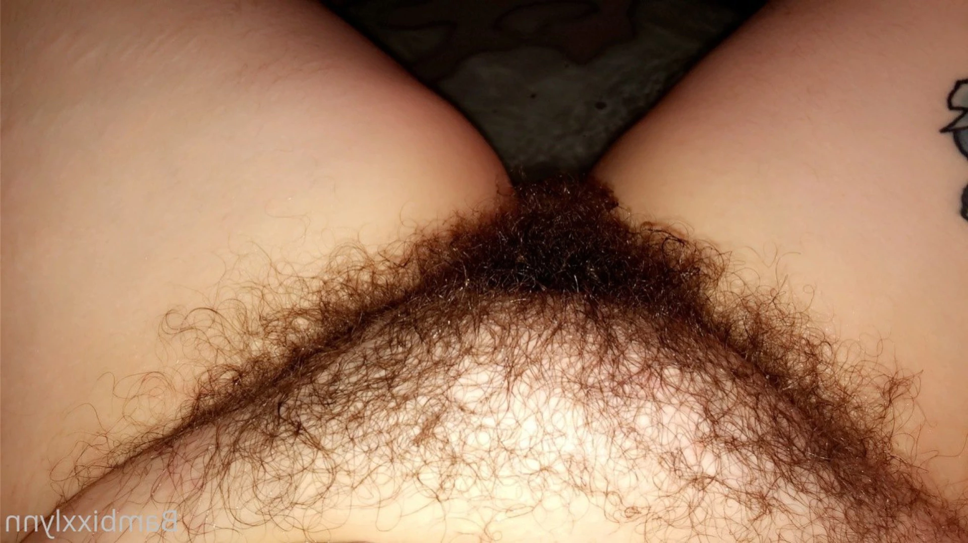 Bambi Lynn [ bambixxlynn ] Onlyfans leaked photo 11109432 on Hotleaks.tv