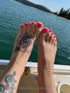 15098413