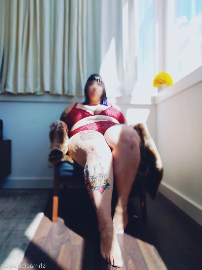 bbwaltswitch Onlyfans leaked photo 14707549 on Hotleaks.tv