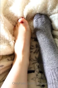 8424262