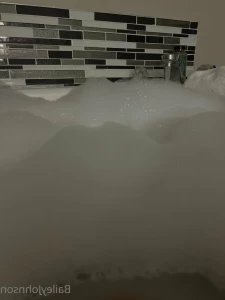 16217567