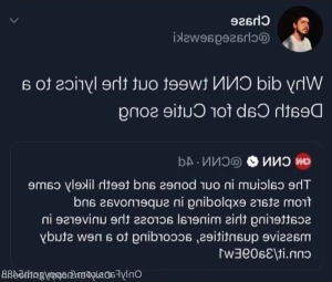 15540604