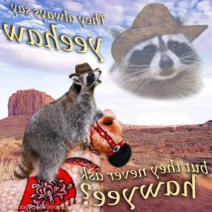 15812449