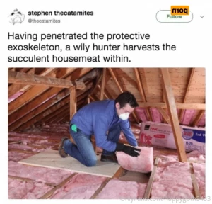 15844356