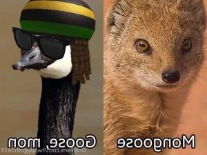 16237793