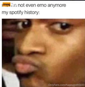 16289011