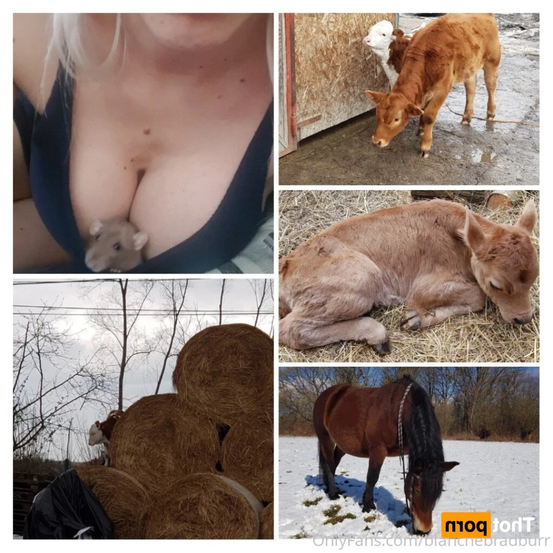 Blanche Bradburry [ blanchebradburr ] Onlyfans leaked photo 14037832 on Hotleaks.tv