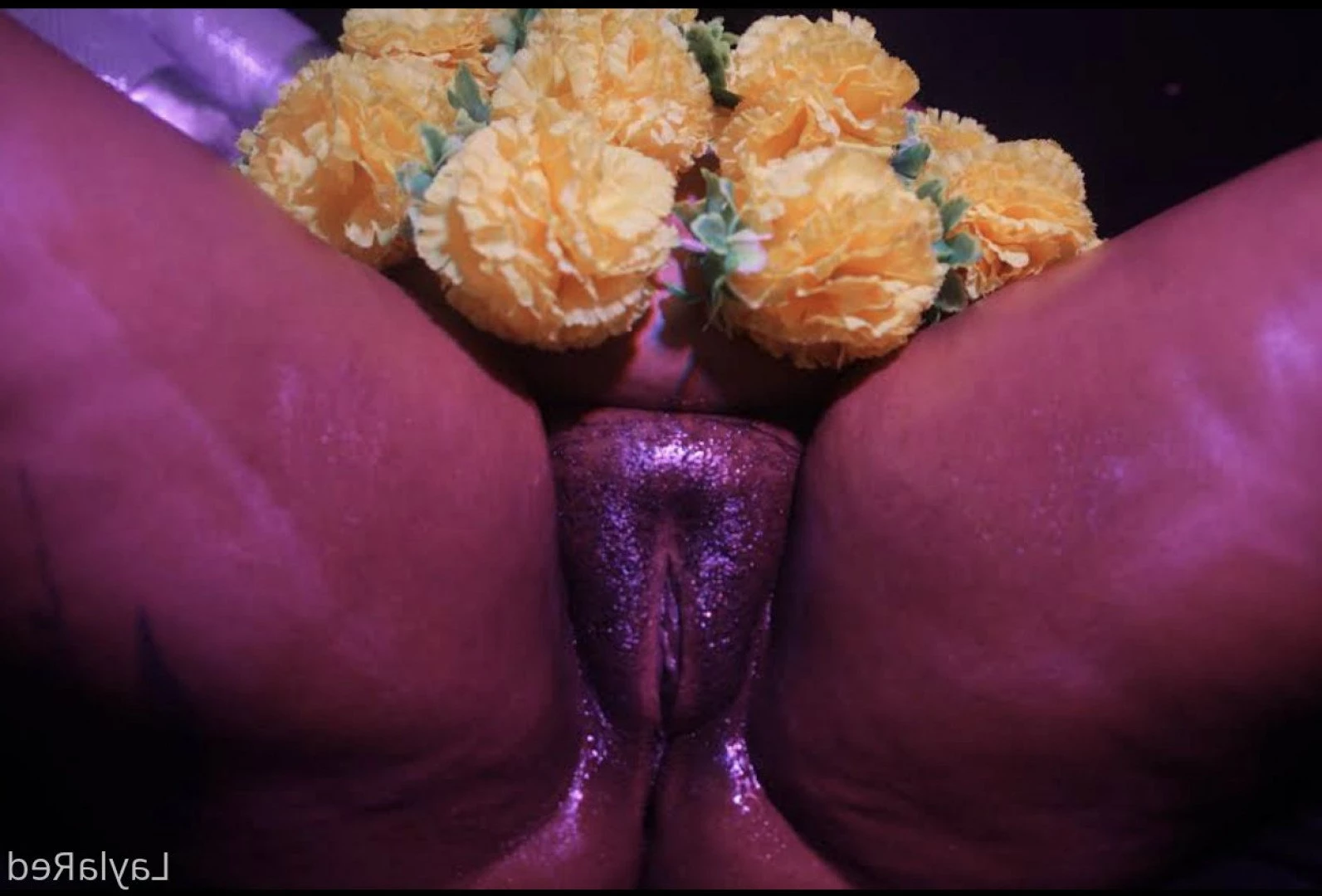  Laylared  [ laylared1 ] Onlyfans leaked photo 670772 on Hotleaks.tv