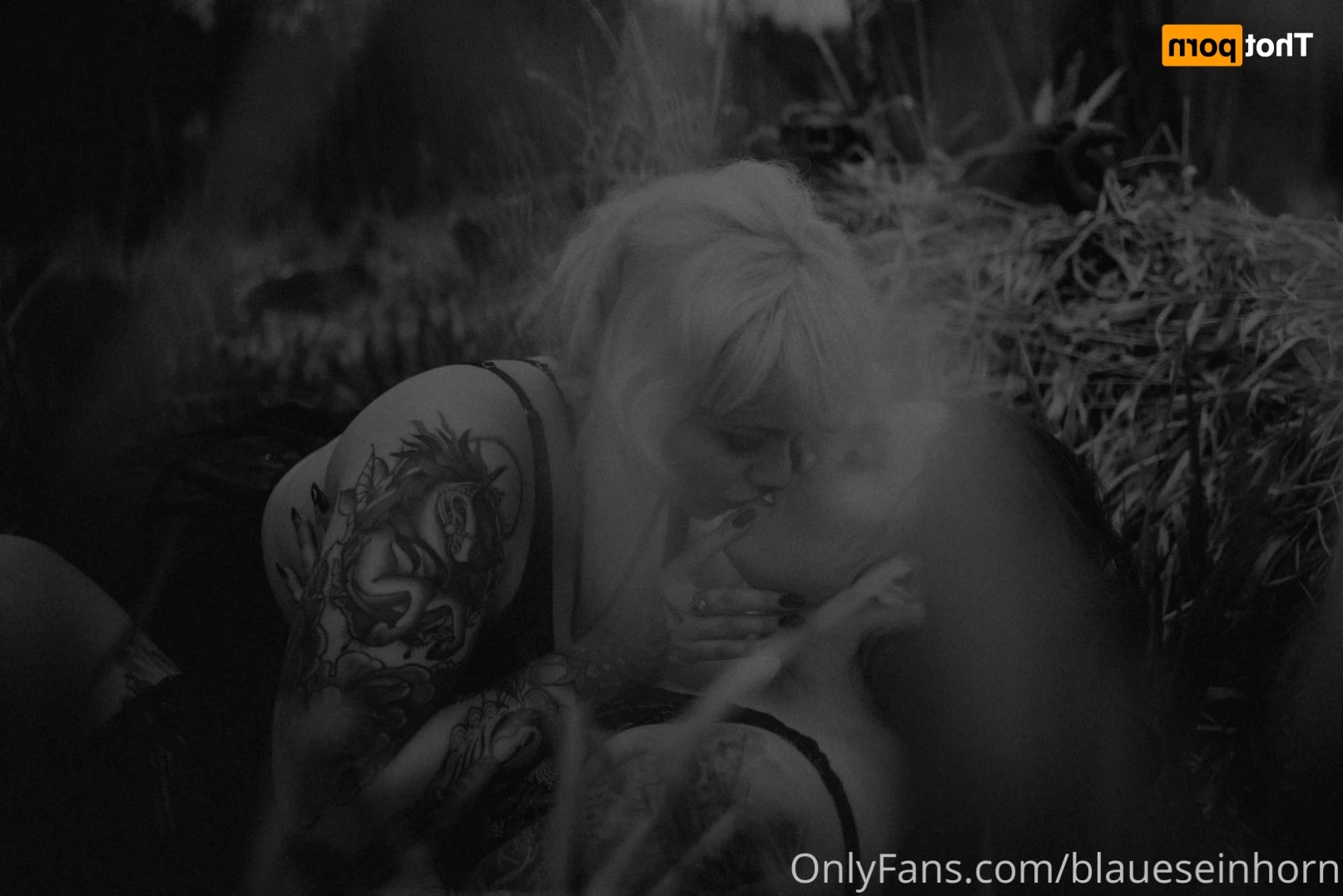Bluenicorn [ blaueseinhorn ] Onlyfans leaked photo 14363757 on Hotleaks.tv