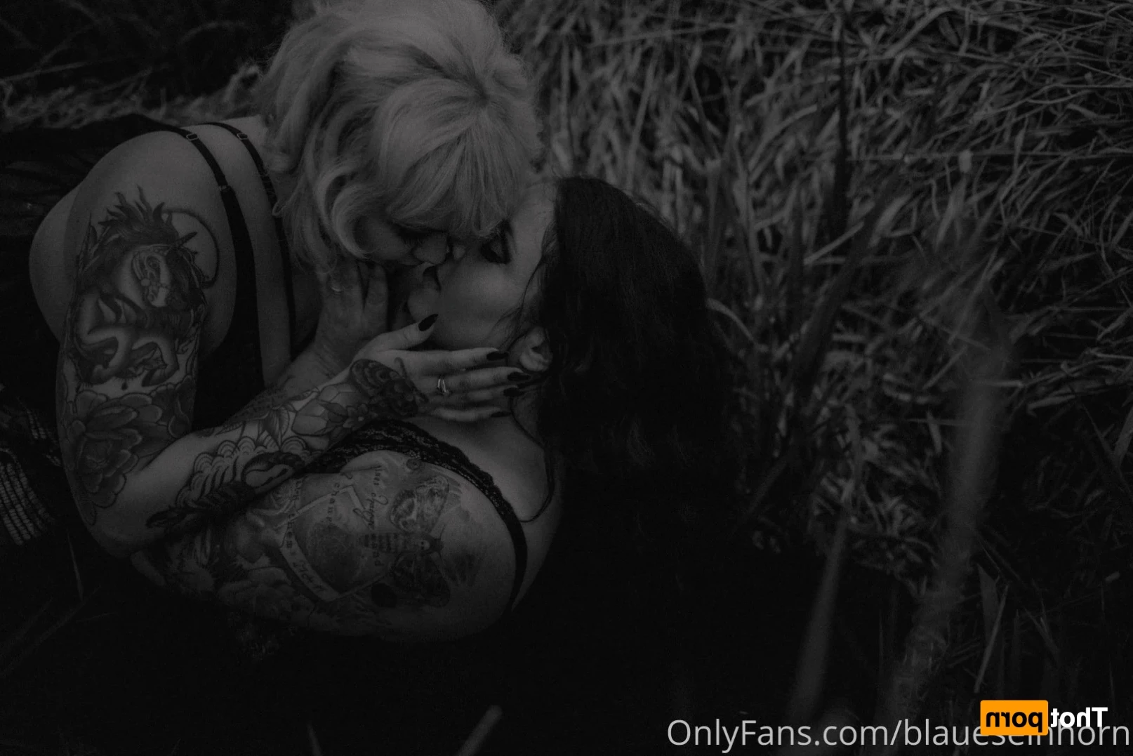 Bluenicorn [ blaueseinhorn ] Onlyfans leaked photo 14383203 on Hotleaks.tv