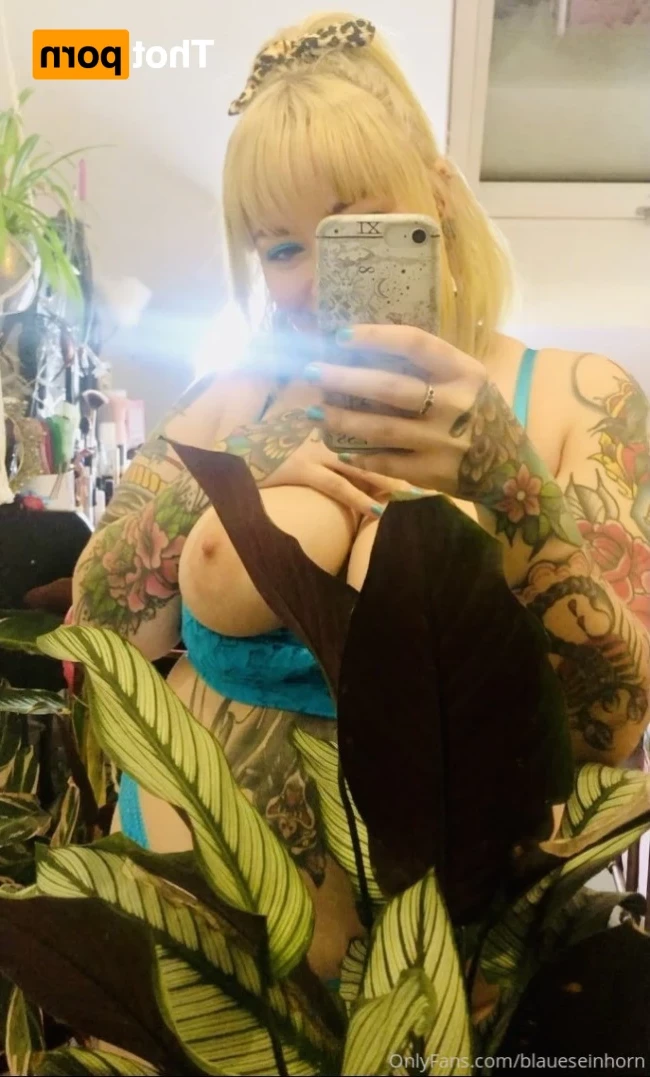 Bluenicorn [ blaueseinhorn ] Onlyfans leaked photo 14761737 on Hotleaks.tv