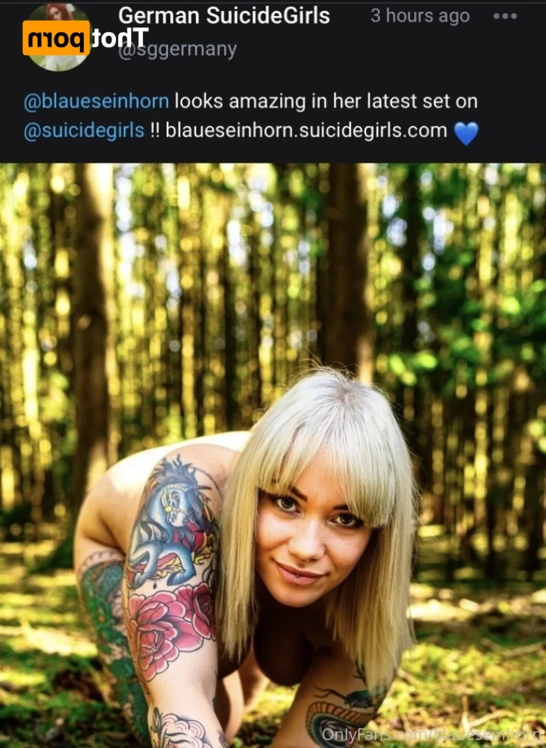 Bluenicorn [ blaueseinhorn ] Onlyfans leaked photo 15896463 on Hotleaks.tv