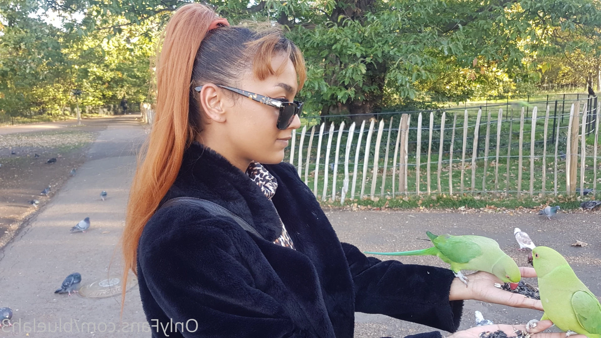 Bluelah [ bluelah3 ] Onlyfans leaked photo 11114052 on Hotleaks.tv
