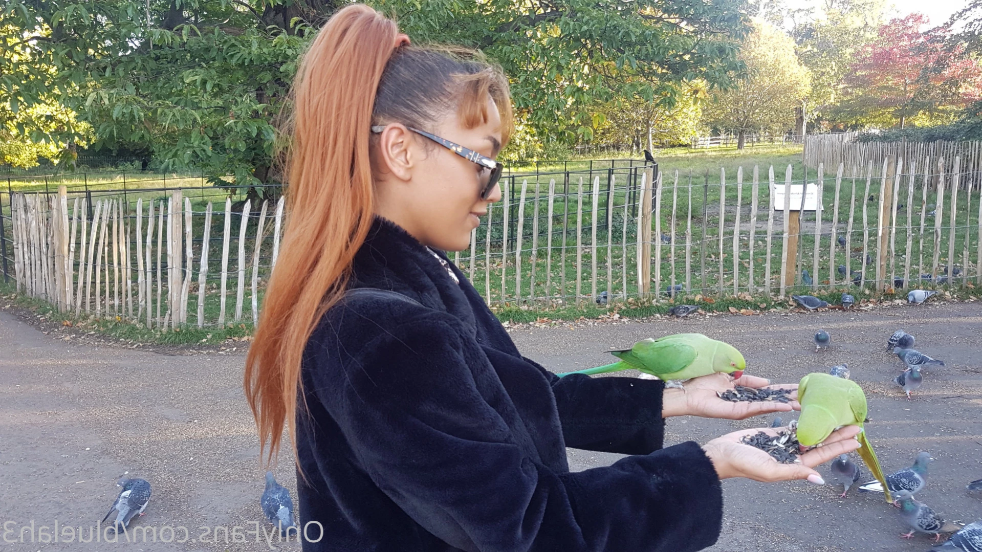 Bluelah [ bluelah3 ] Onlyfans leaked photo 12605272 on Hotleaks.tv