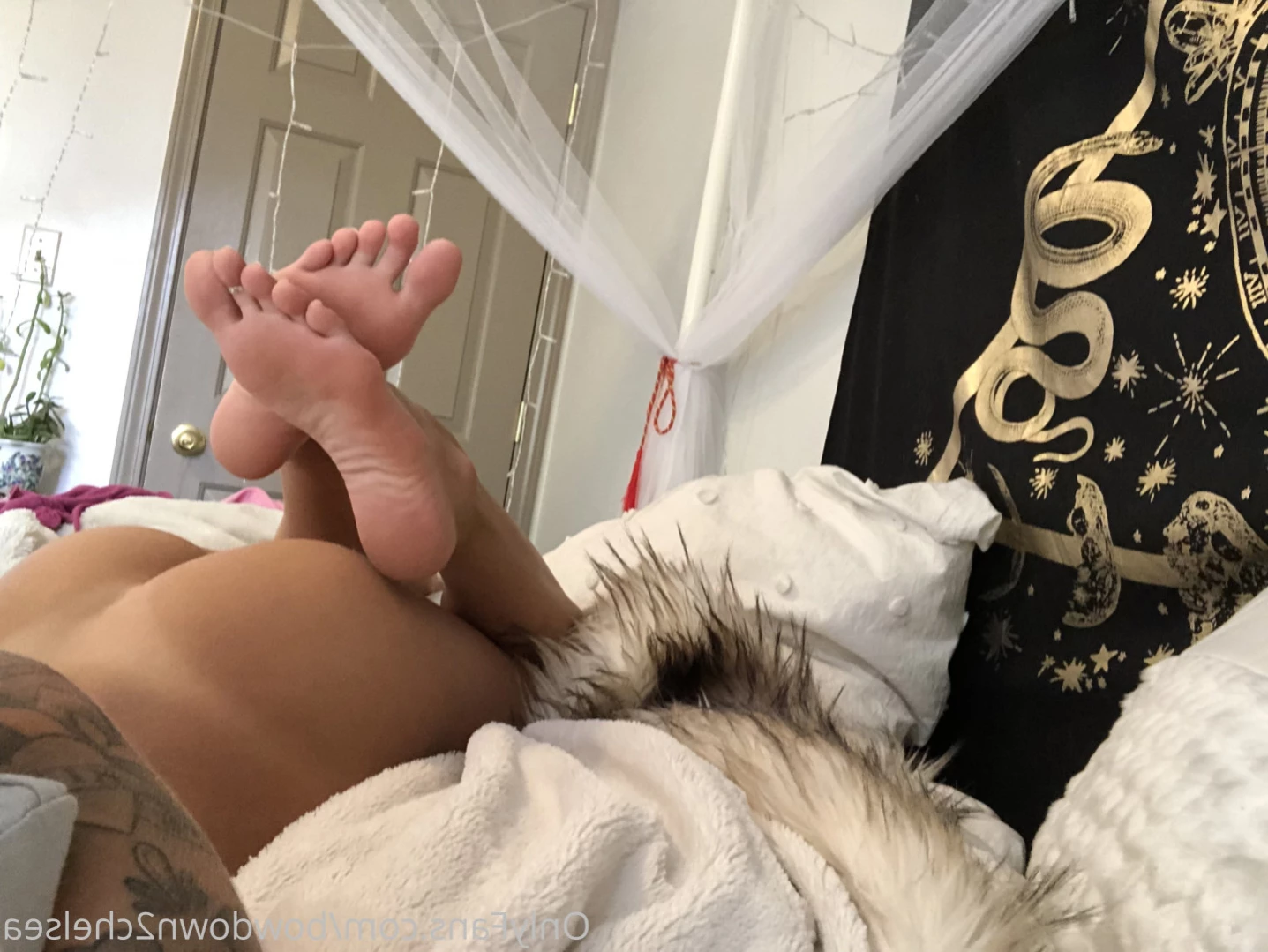 Princess Chelsea [ bowdown2chelsea ] Onlyfans leaked photo 11111463 on Hotleaks.tv