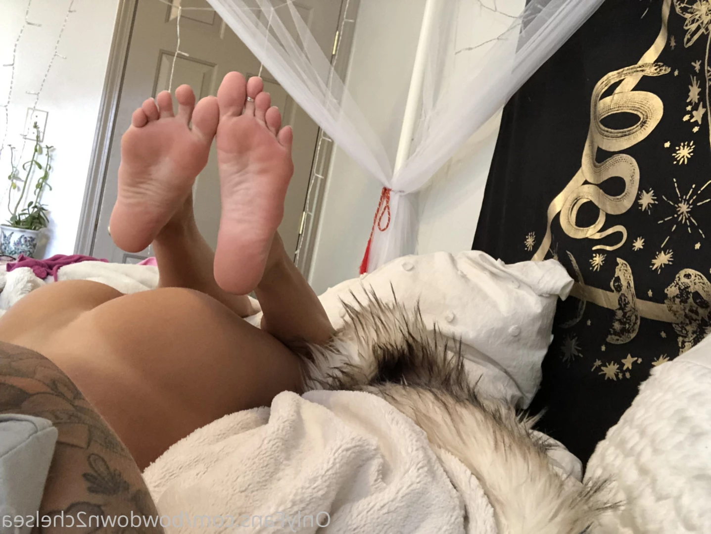 Princess Chelsea [ bowdown2chelsea ] Onlyfans leaked photo 14995135 on Hotleaks.tv