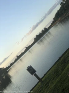 16165748