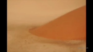8368389