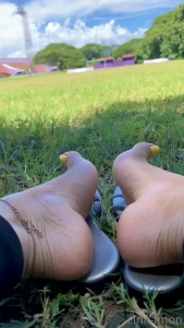 10533829
