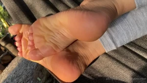 10533841