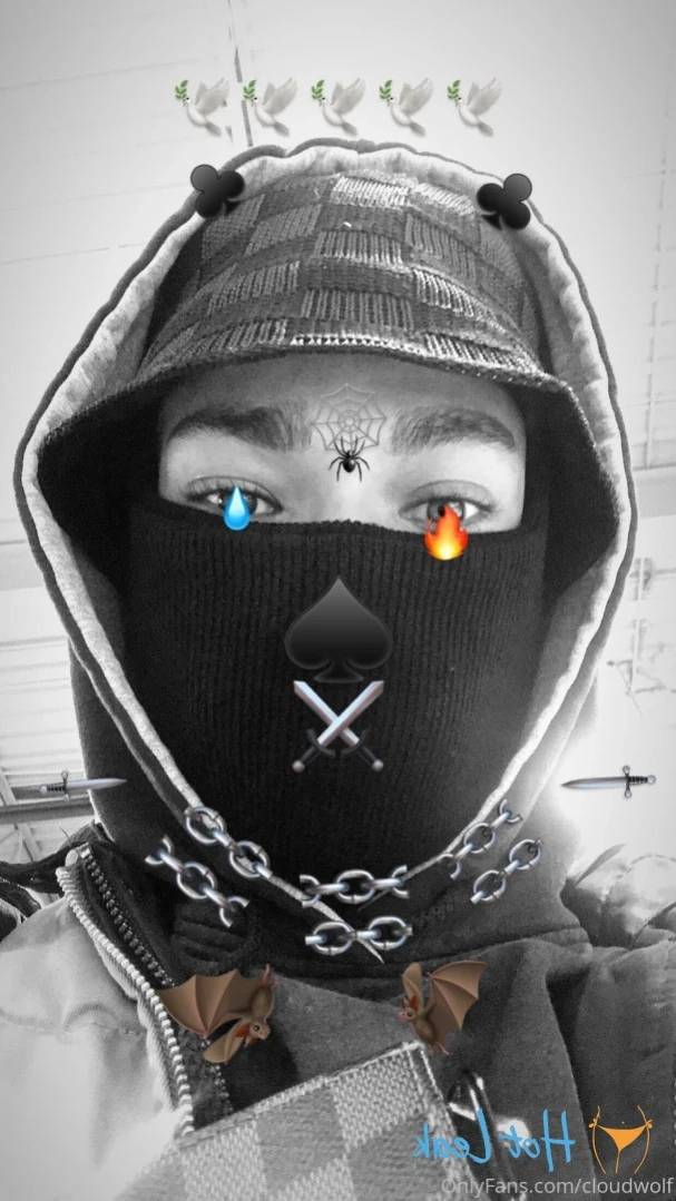 cloudwolf Onlyfans leaked photo 12766300 on Hotleaks.tv