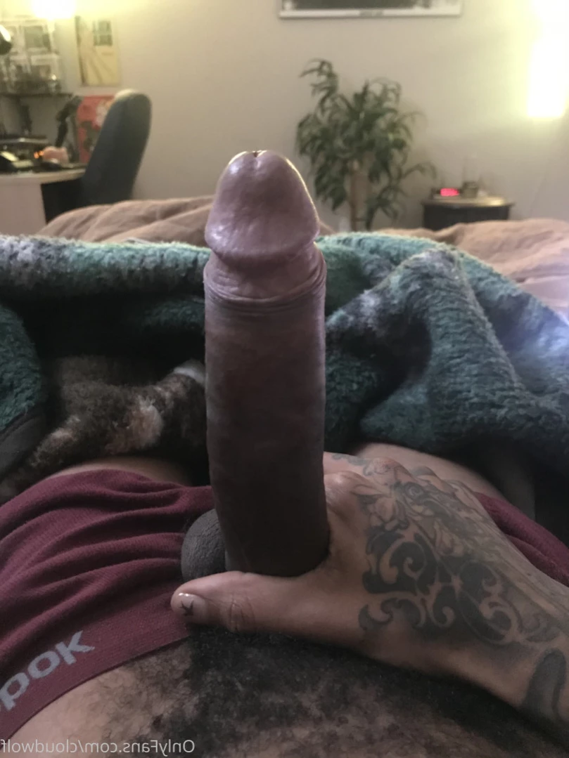 cloudwolf Onlyfans leaked photo 12849427 on Hotleaks.tv