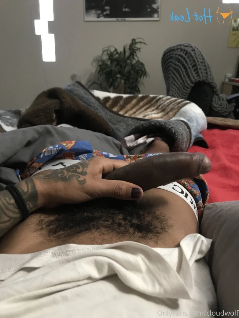cloudwolf Onlyfans leaked photo 12906307 on Hotleaks.tv