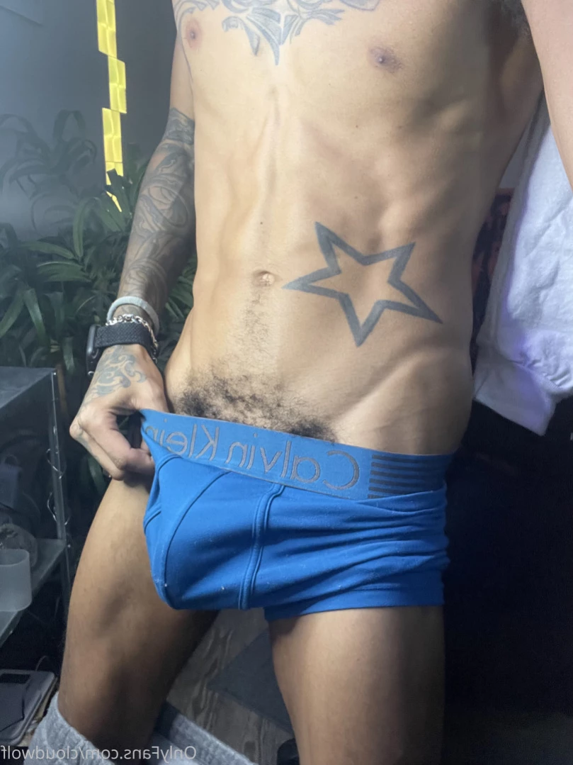 cloudwolf Onlyfans leaked photo 13718968 on Hotleaks.tv
