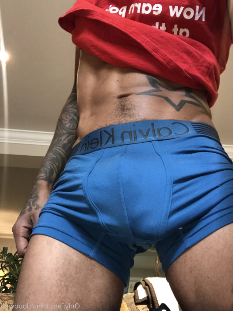 cloudwolf Onlyfans leaked photo 13793351 on Hotleaks.tv