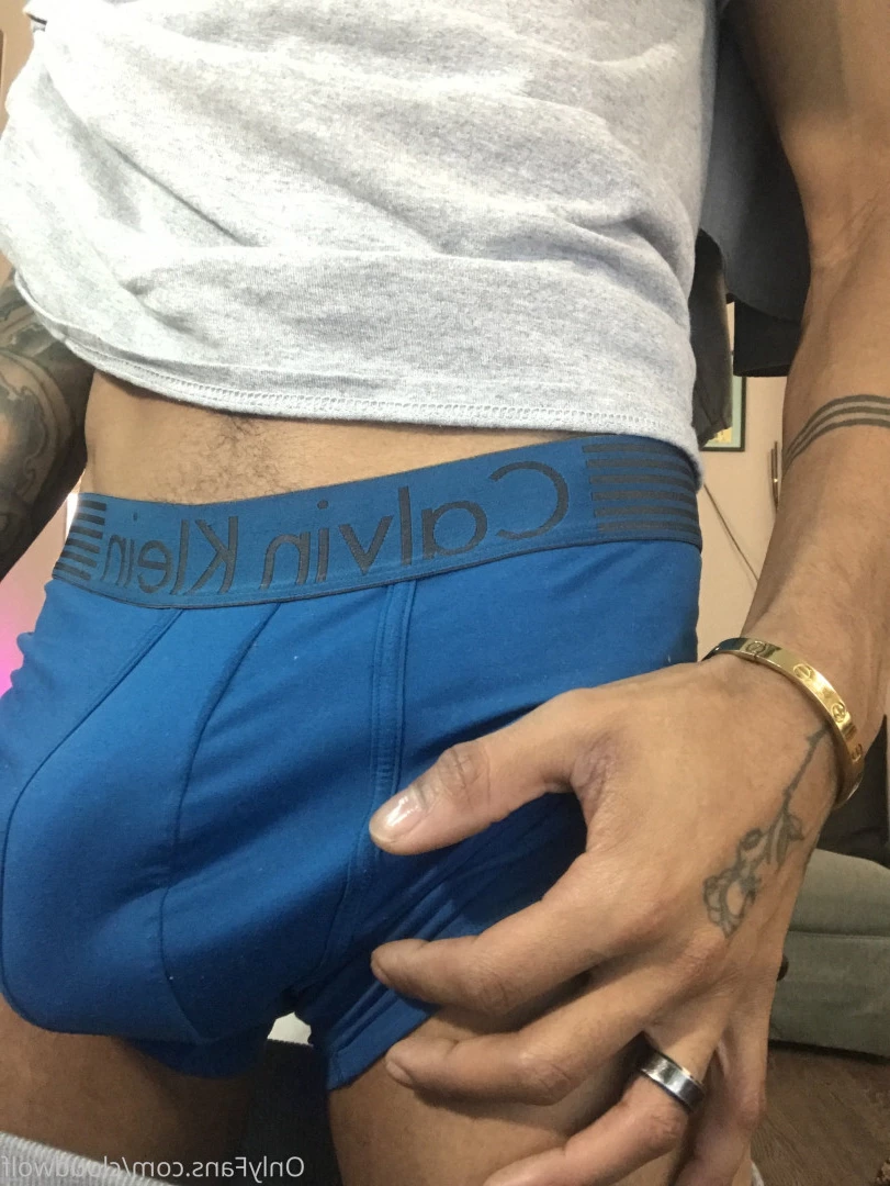 cloudwolf Onlyfans leaked photo 14666946 on Hotleaks.tv