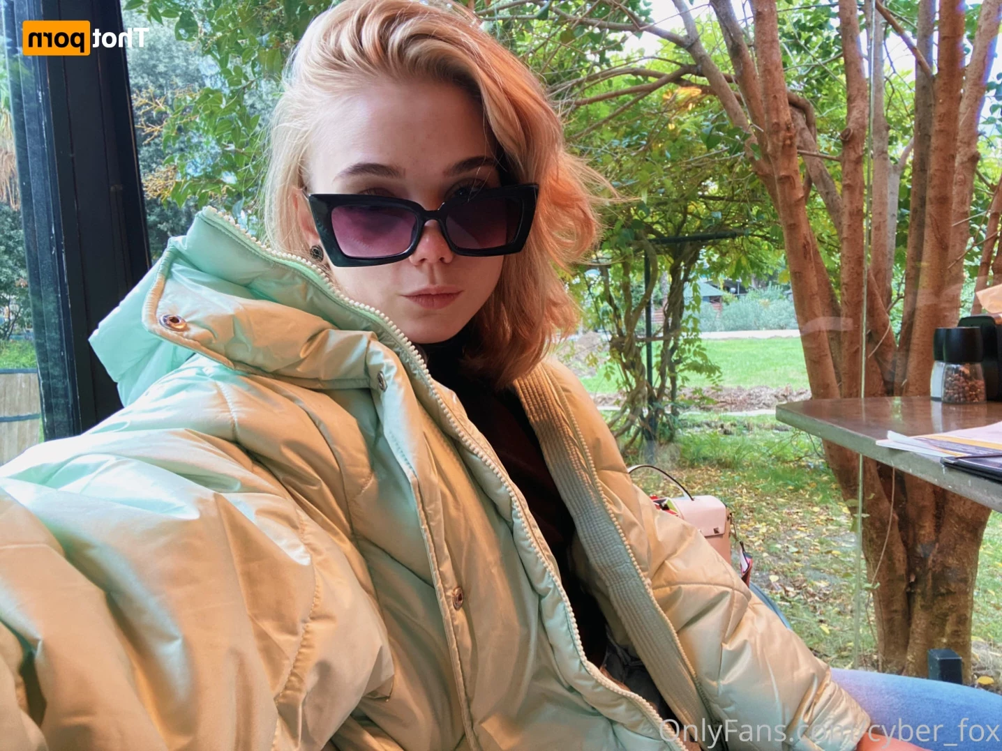 onlyfox.me [ cyber_fox ] Onlyfans leaked photo 15755234 on Hotleaks.tv