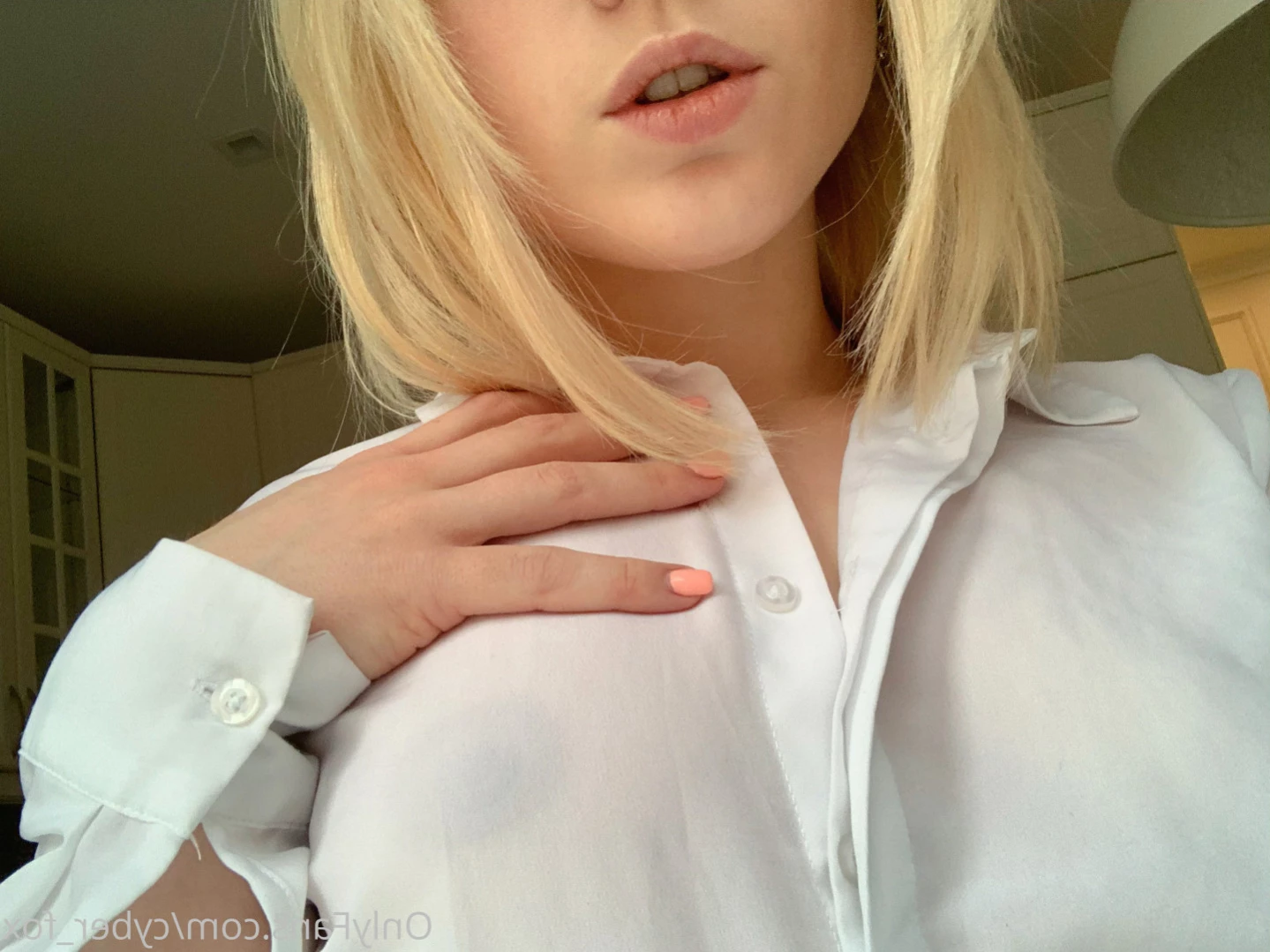 onlyfox.me [ cyber_fox ] Onlyfans leaked photo 16236232 on Hotleaks.tv