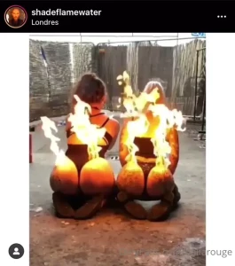 8337294