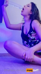 16205251