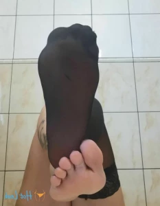 15650011