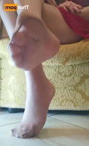15650018